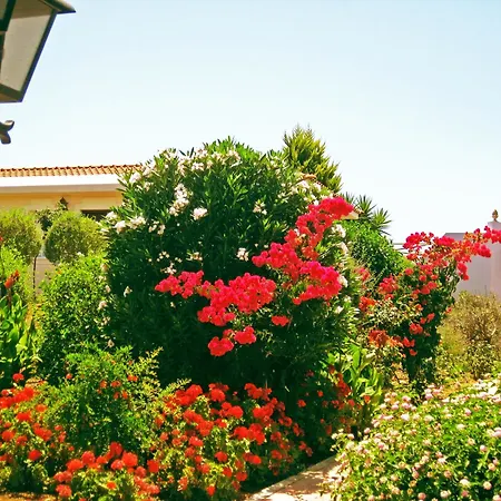 Akamanthea Holiday Village-2
