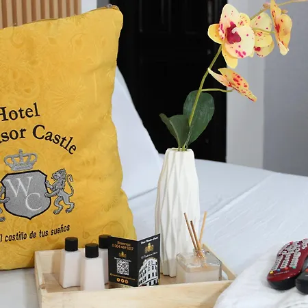 Hotel Windsor Castle Bogota-2