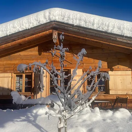 Chalets Alpglück-3