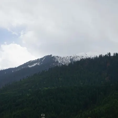 Hotel Magnolia Mallroad Manali-2