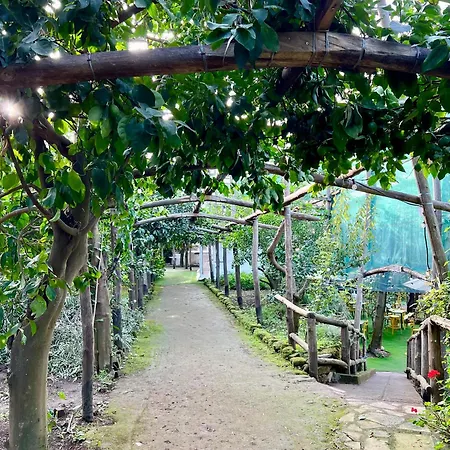 Relais Correale Rooms & Garden-3