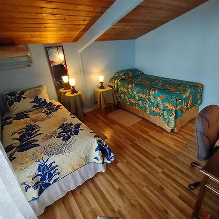 Banyan Tree Sanctuary Guest House-3