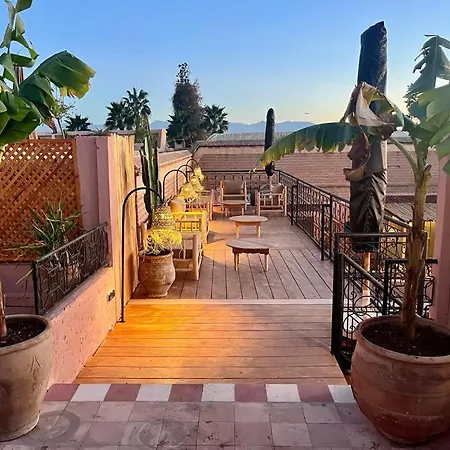 Riad Ecila-3