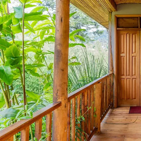 Gorilla Leisure Lodge-3