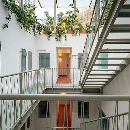 Nido Condesa-3