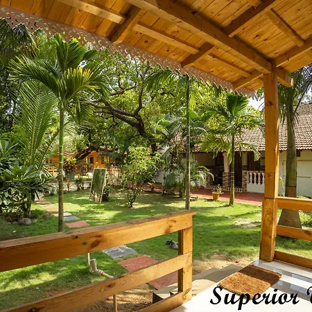 Rockit Cafe & Stay Palolem-3