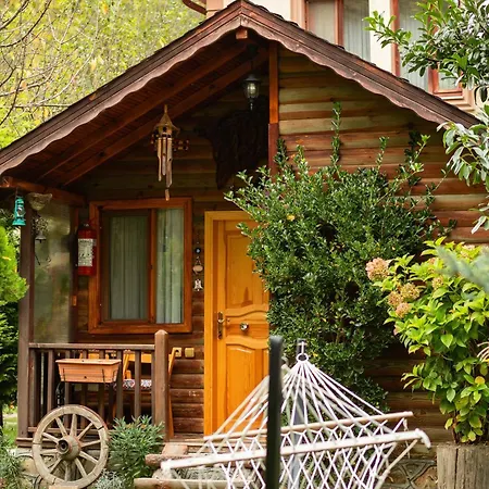Doğa Köşkü Abant Bungalow Evleri-2