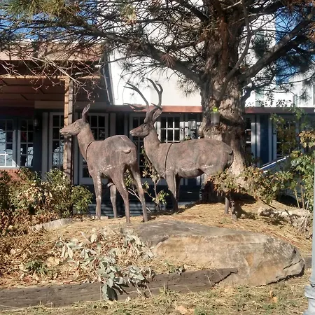 The Charin Inn-3