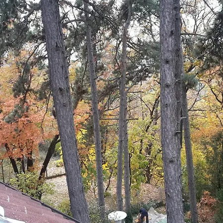 Berg Toboz Panzió-3