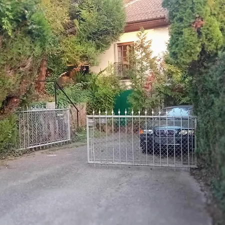 Petit St George 100Mt Du Lac A Montreux-2