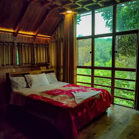 Tree House Wayanad-2