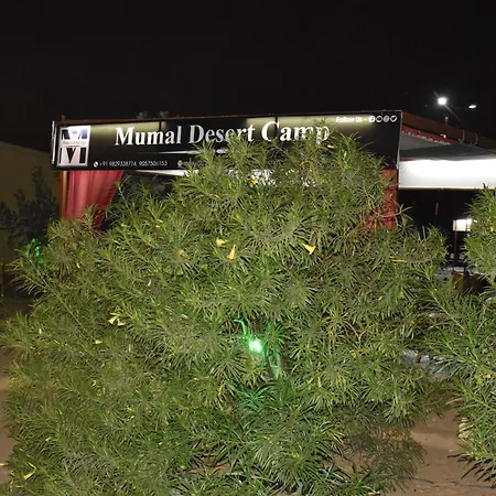 Mumal Desert Camp - Jaisalmer !-3