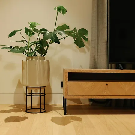 Mrstil Design Aparthotel-3