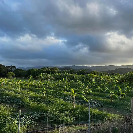 Maleka Farm: Tent Glamping North Shore Oahu-2
