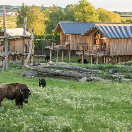 Parc Animalier De Sainte-Croix-2