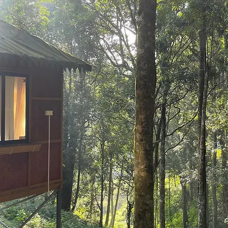 900 Woods Wayanad Eco Resort - A Sprawling Jungle Stay Near Glass Bridge-3
