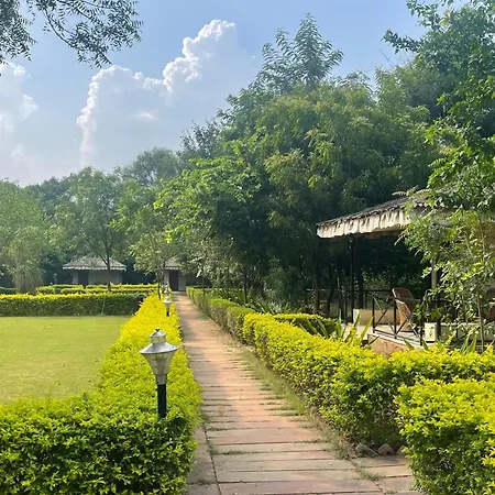 Sariska Tiger Heaven-2