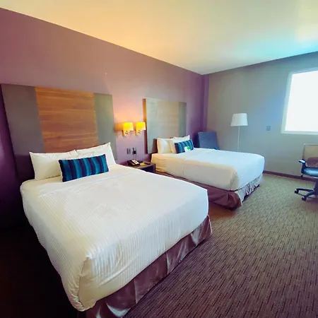 La Quinta By Wyndham Aguascalientes-3