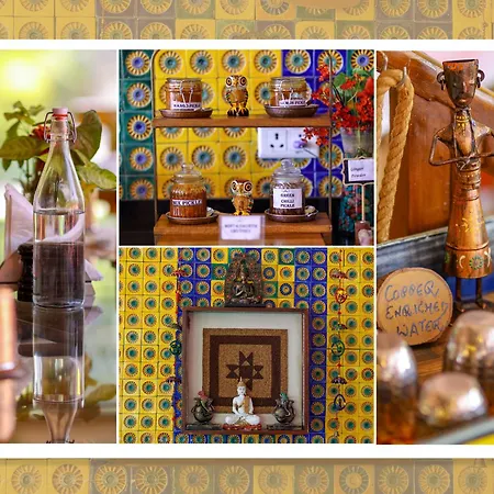 Veda5 Ayurveda & Yoga Retreat-2