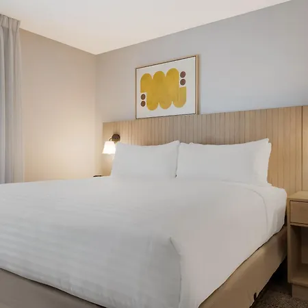 Sonesta Simply Suites Irvine East Foothill-3
