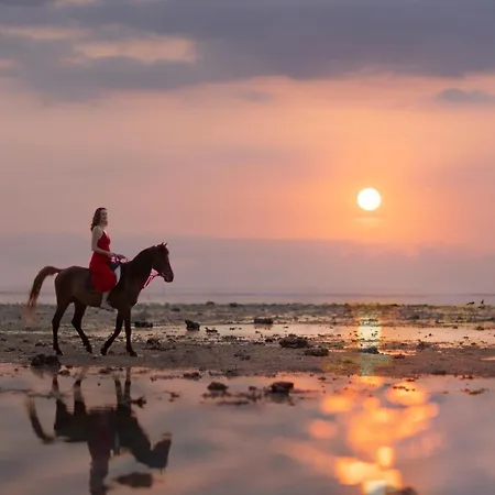 Kardia Resort Gili Trawangan A Pramana Experience-2