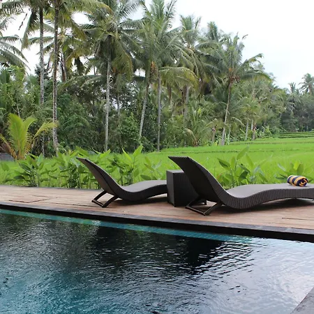Manyi Village Ubud-2