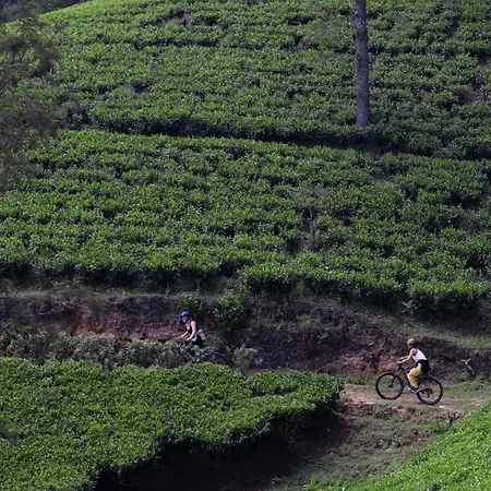 Heritance Tea Factory (Adults Only)-2