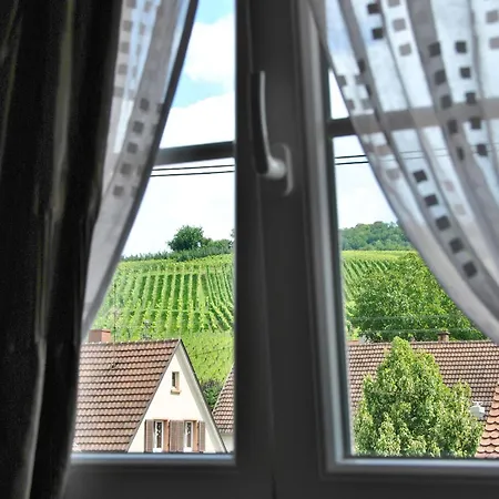Landgasthof Rebstock Weil am Rhein / Basel-2