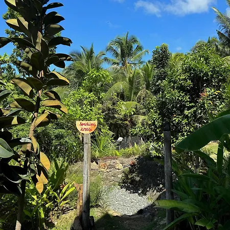 Jungle Kingdomes Guest House-2