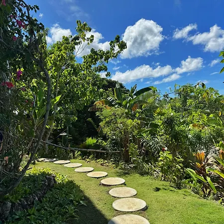 Jungle Kingdomes Guest House-3
