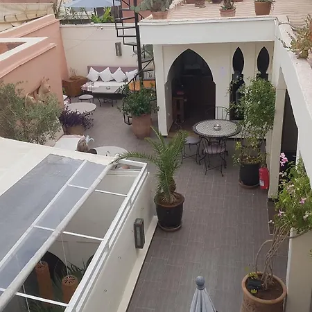 Riad Safina-3