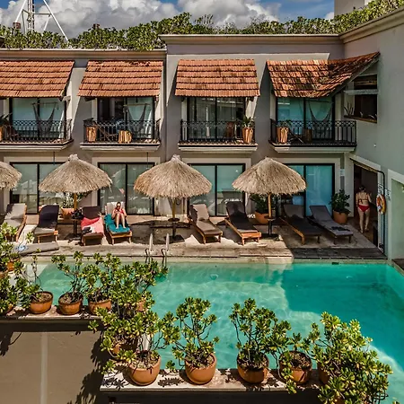Caribbean Paradise Hotel & Spa - 5Th Avenue-3
