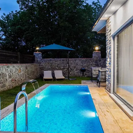 Vital Home Sapanca Isıtmalı Havuzlu Villa&Bungalov-2