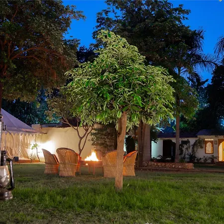 Ranthambore Tiger Resort-3