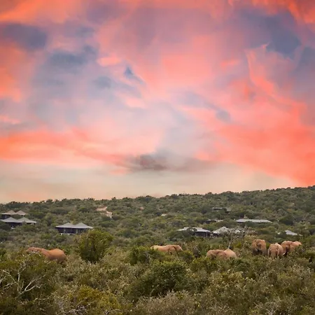 Kwandwe Private Game Reserve - Ecca Lodge-3