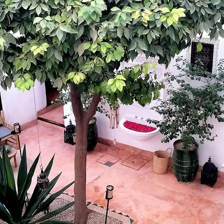 Riad Dar Nouba-3