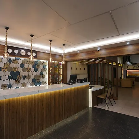 Hotel Luciya International Mysore-2