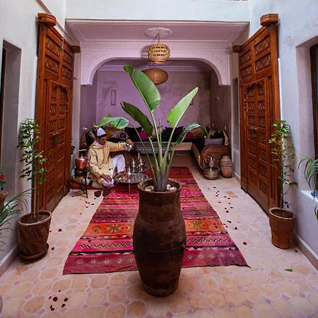 Riad Taziri-3