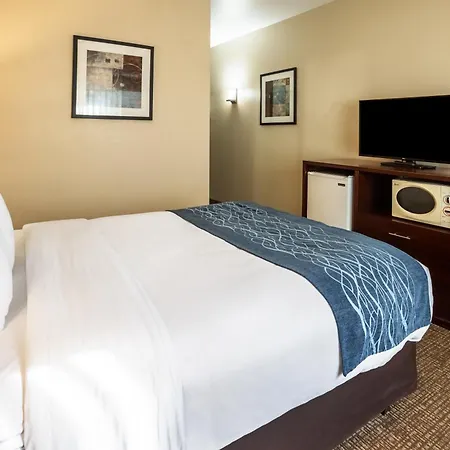 Comfort Inn Lacey - Olympia-3