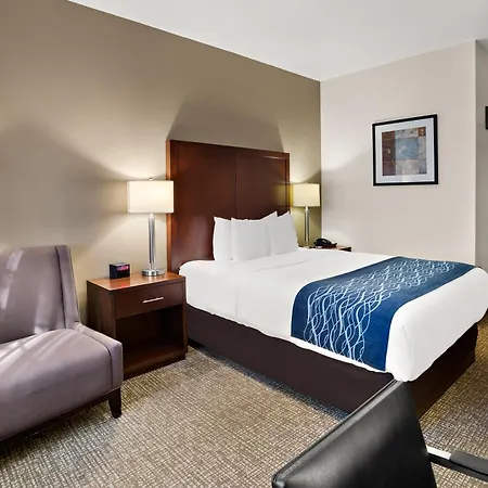 Comfort Inn Lacey - Olympia-2