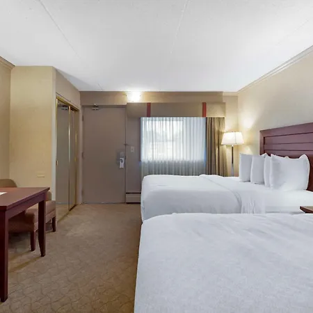 Best Western Plus City Centre Inn-3