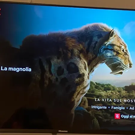 La Magnolia 140-3