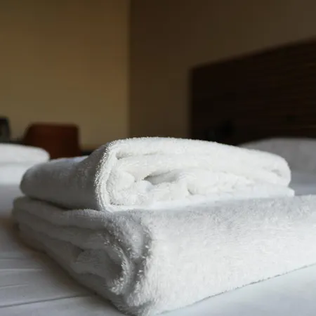 Hotel Mosaic City Centre-3