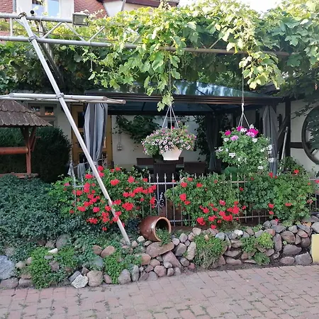 Pension Am Buhnenkopf-3