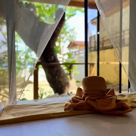 Amami Beachfront Villa With Private Beach-3