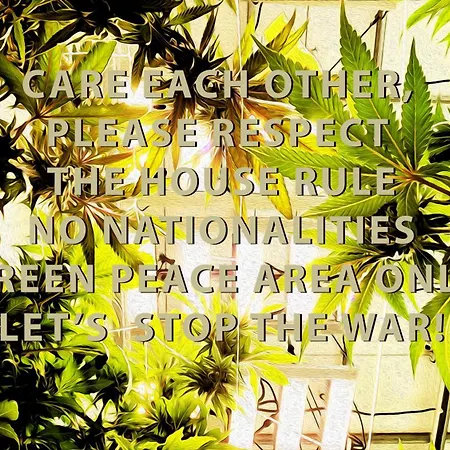 Rent V38 #420 Friendly Thailand-2