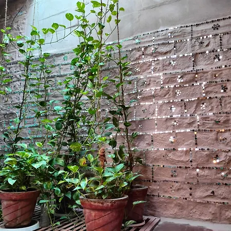 Casa De Jodhpur-2