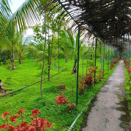Coorg Nest Cottages By Dreamy Vacations-3
