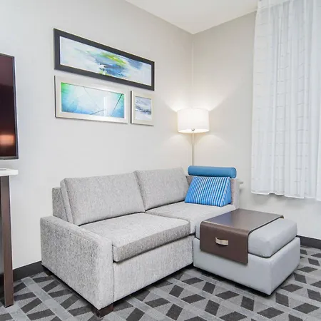 Towneplace Suites By Marriott Brantford And Conference Centre-2