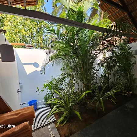 Agonda Beach Villa-2